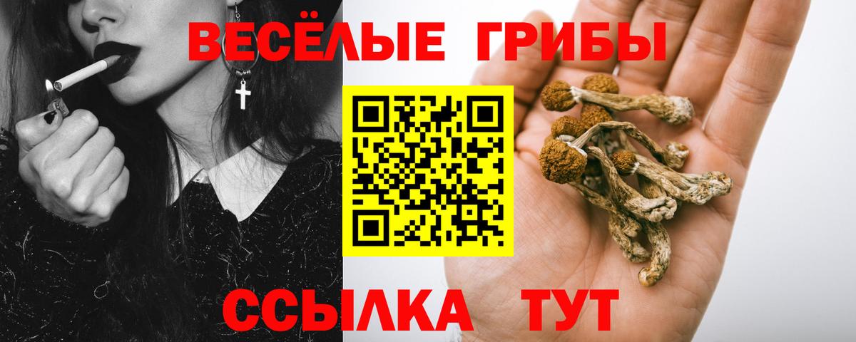 Соликамск  Галлюциногенные грибы Psilocybe  Вход с VPN 